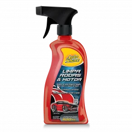 LIMPA RODAS & MOTOR - 12 X 500ML
